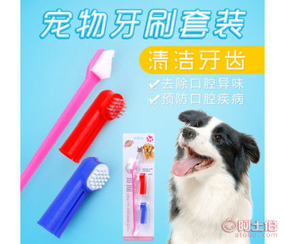 專業寵物口腔護理 義烏市妙迪寵物用品廠雙頭與手指牙刷套裝詳解